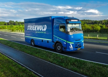 Striekwold